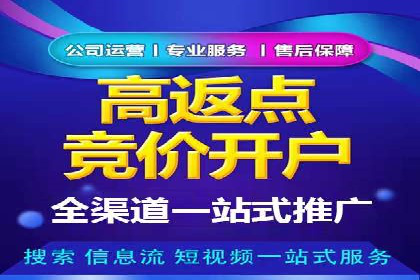 SEM运营公司经典案例点评
